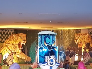 danse parintins 6 bis