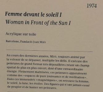 capture ii femme devant soleil