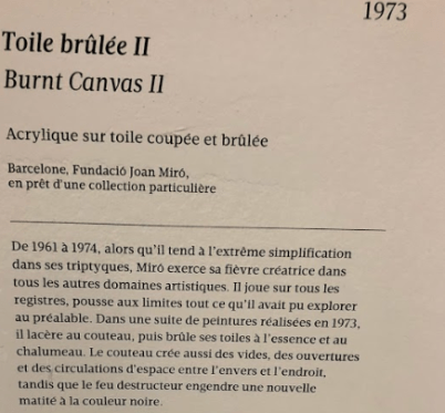 capture toile brulée