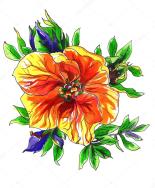 depositphotos_92354298-stock-photo-orange-tropical-exotic-mango-flower