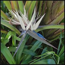 ob_df9e99_3621867397-560b32e019