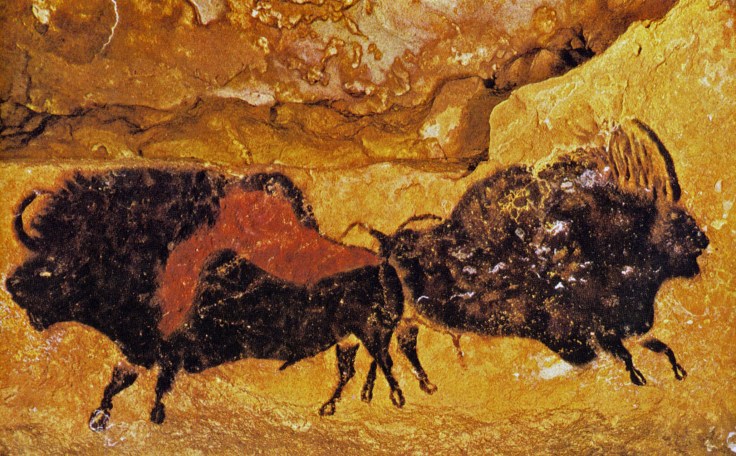 n°10 bisons adossés