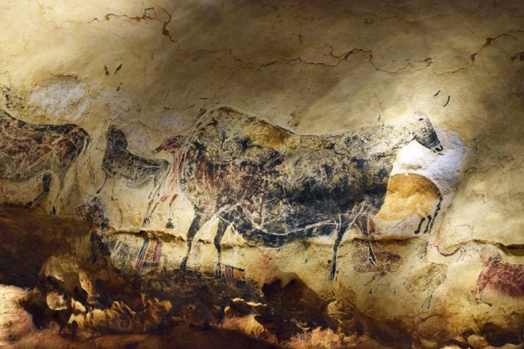 n°22 vache noire et signes