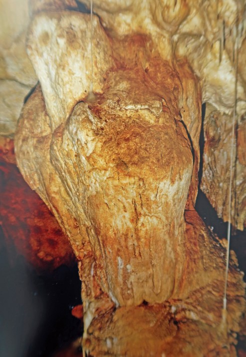 n°25 Statue de hibou.jpg