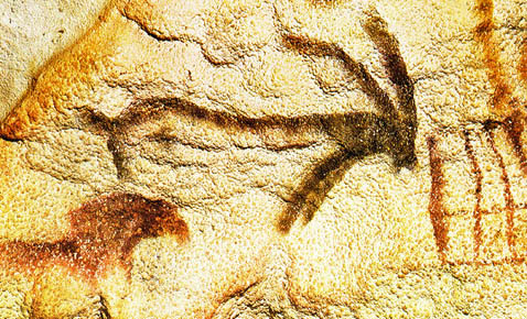 n°5 bouquetin et cheval