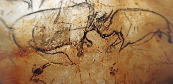 n°8 rhinocéros affrontés