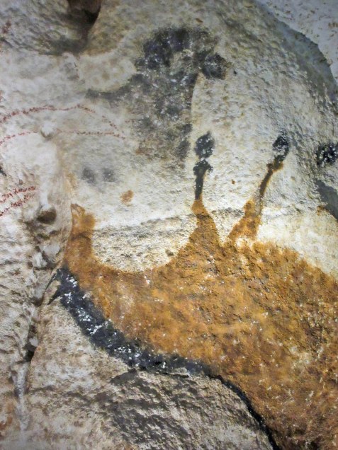 n°9 cheval qui tombe