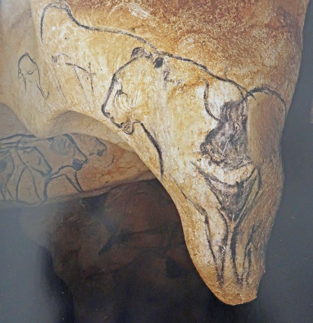 1 Chauvet (1).jpg