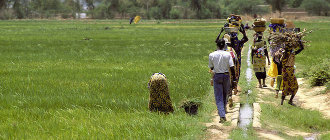 19157629lpw-19157657-article-jpg_6386681_660x281