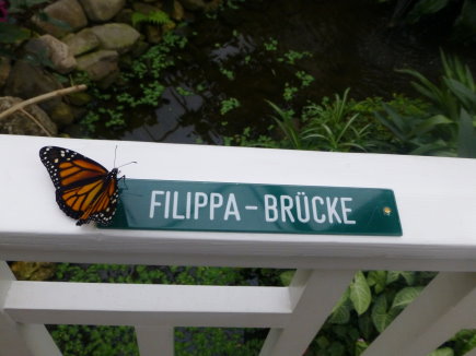 Photo 14 - Le pont Filippa