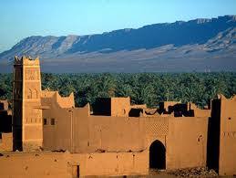 palmeraie de Tafilalet